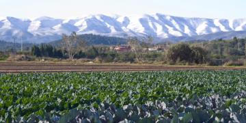 Nevada en el invierno de 2009
