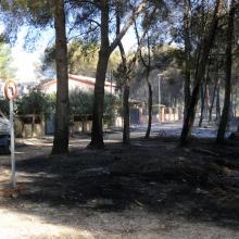 Incendio en la urbanización Clot de Navarrete 14
