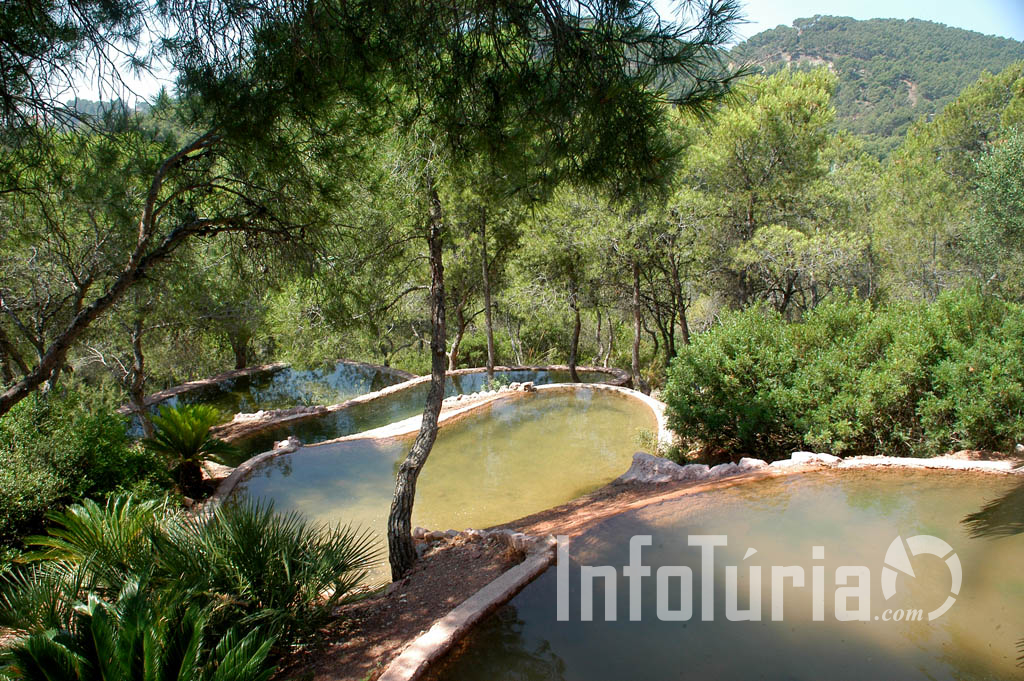 Inauguración del espacio natural: Arboletum de Náquera (10)