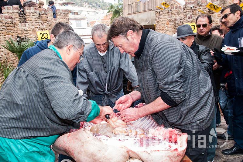 Matanza del Cerdo de Casa Granero serra 2015 3