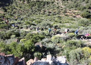 El Camp de T&uacute;ria