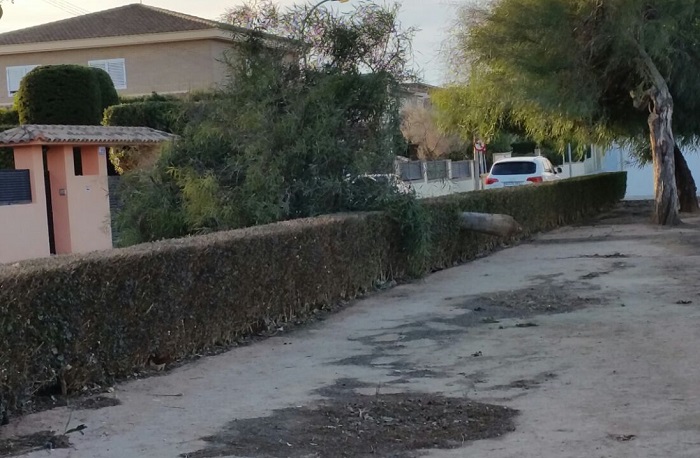 Uno de los &aacute;rboles ca&iacute;dos en L'Eliana.