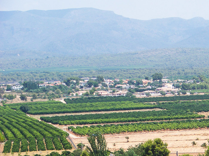 Campos de cultivo de la Pobla de Vallbona Campos de cultivo de la Pobla de Vallbona