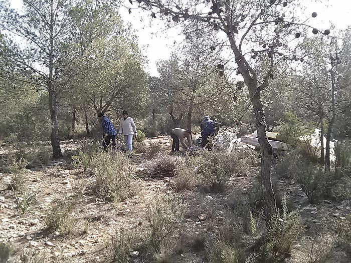 Trabajadores municipales realizan tareas de limpieza en el paraje natural de la Manguilla. Trabajadores municipales realizan tareas de limpieza en el paraje natural de la Manguilla.