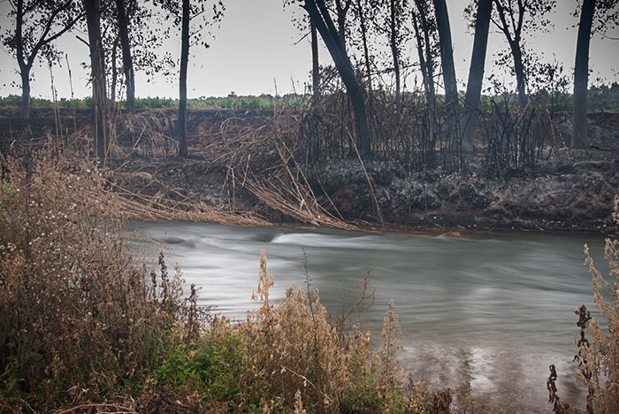 Visita a los efectos del incendio de la Vallesa, en el Parque Natural del Túria Visita a los efectos del incendio de la Vallesa, en el Parque Natural del Túria