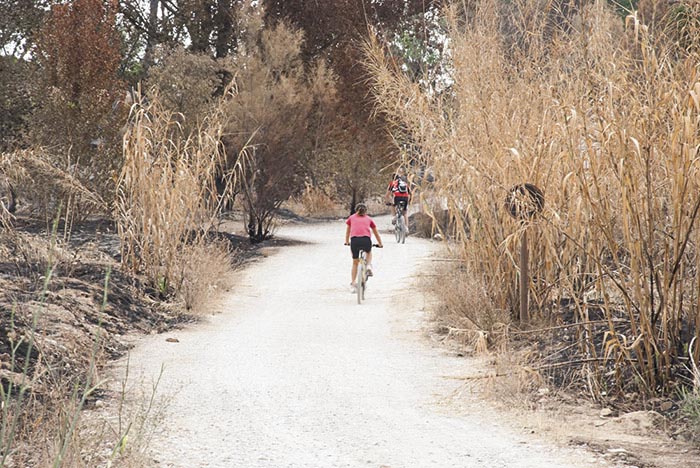 Visita a los efectos del incendio de la Vallesa, en el Parque Natural del Túria Visita a los efectos del incendio de la Vallesa, en el Parque Natural del Túria