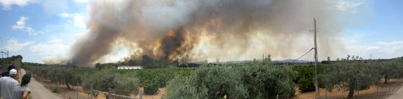 Incendio parque natural del Túria Incendio parque natural del Túria