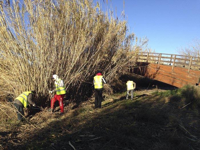 Los vecinos contratados por el Ayuntamiento llevan a cabo las tareas de limpieza en el Parque Natural del Turia. Los vecinos contratados por el Ayuntamiento llevan a cabo las tareas de limpieza en el Parque Natural del Turia.