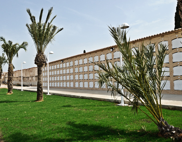 Camp de T&uacute;ria