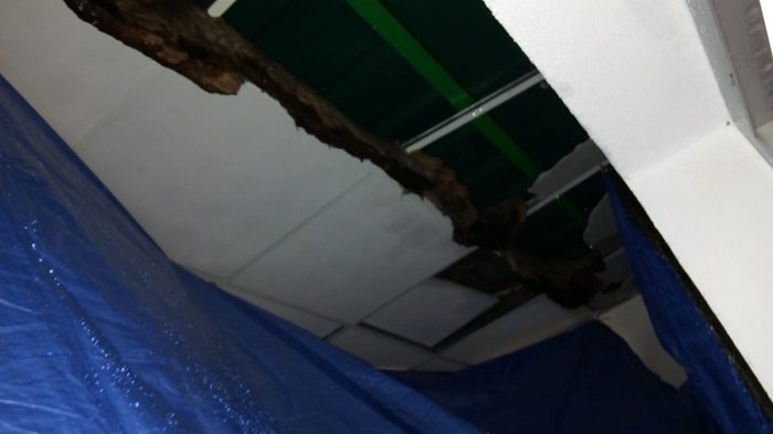 instituto alfabegues camp de turia