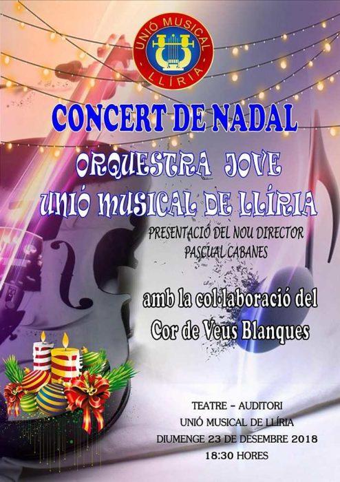 cartel concierto camp de turia