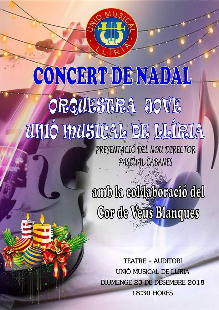 cartel concierto camp de turia