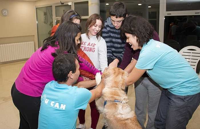perros camp de turia