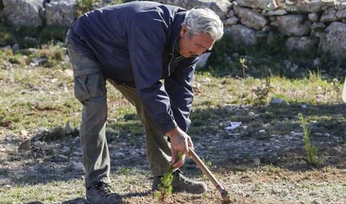dia del arbol camp de turia