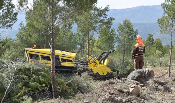 brigadas forestales diputacion camp de turia
