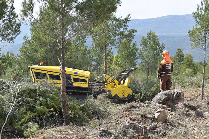 brigadas forestales diputacion camp de turia
