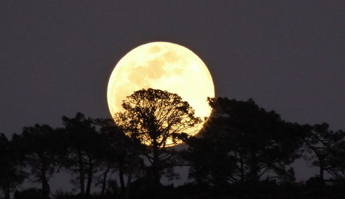 concurso de fotografia camp de turia