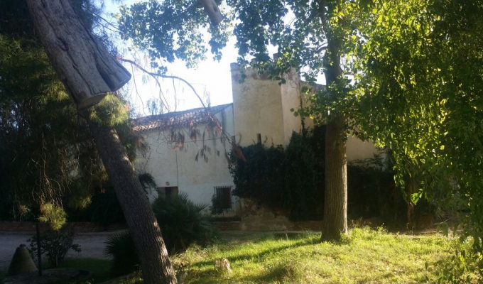 Porxinos2 camp de turia