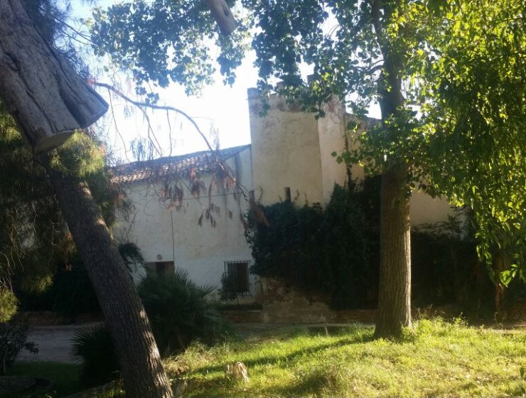 Porxinos2 camp de turia