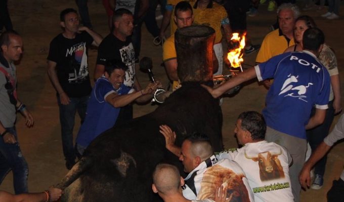 bous al carrer betera