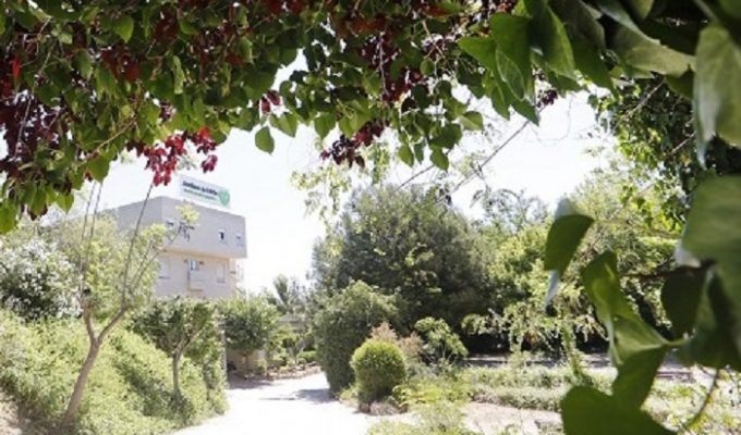 residencia jardines de lliria