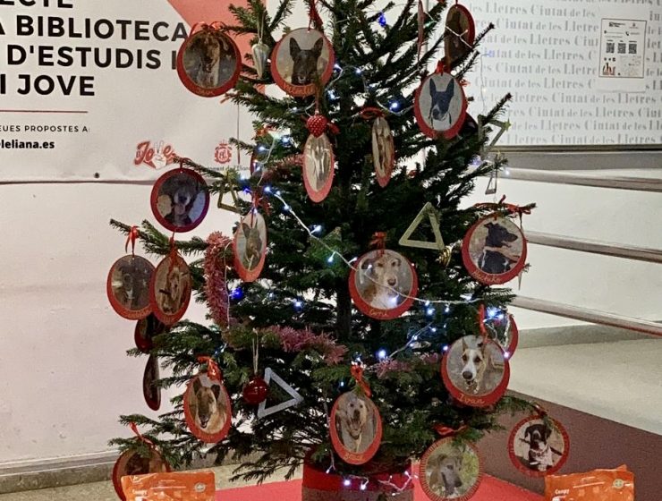 Arbol-Biblioteca l'eliana Camp de Túria