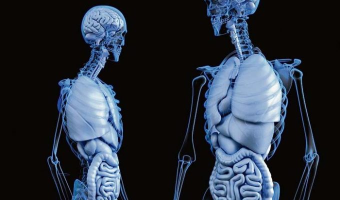 Osteopatía naturopatía Rafa Gimeno