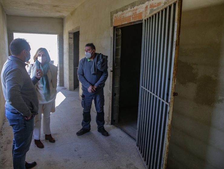 insectario Bétera Camp de Túria