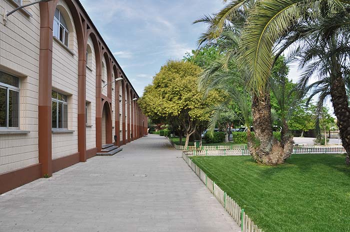 Colegio El Prat Llíria