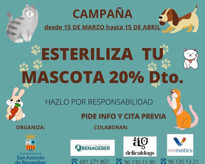 esterilización mascotas San Antonio campaña