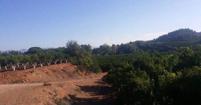 barranc porxinos riba-roja