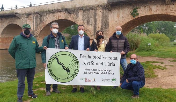 plataforma anguila canal ecológico