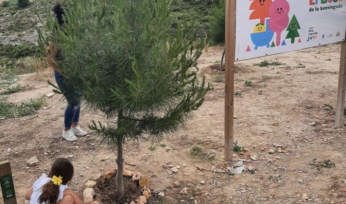 Bosc de la Benvinguda lliria