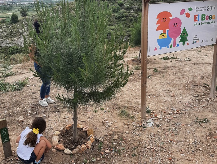 Bosc de la Benvinguda lliria