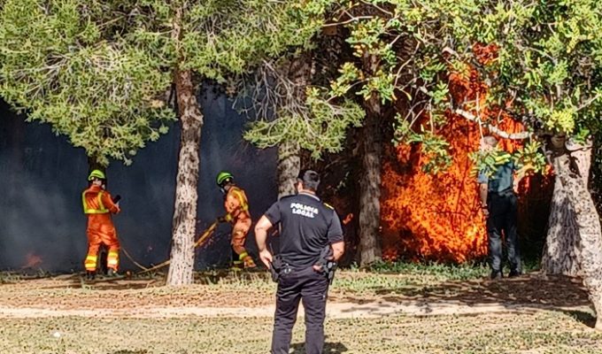 incendio parque de san vicente