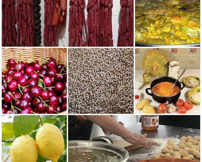 guia alimentos serra