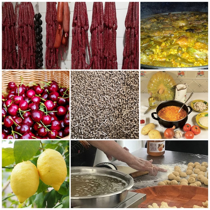 guia alimentos serra