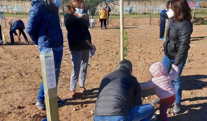 Bosque Bienvenida 2021