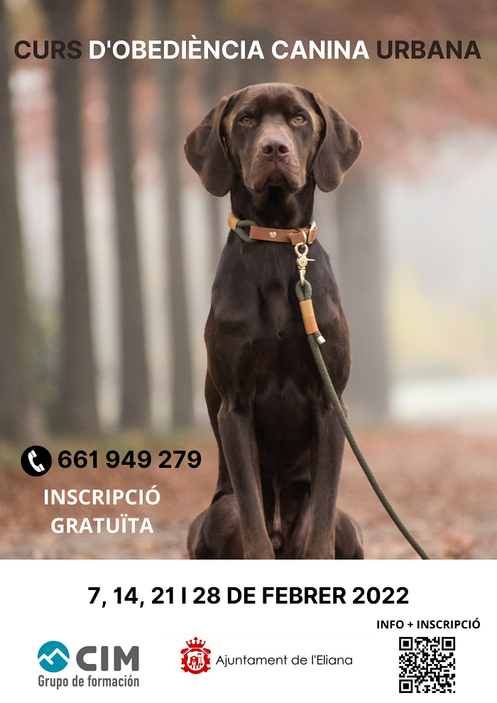 Curs d'obediència canina urbana