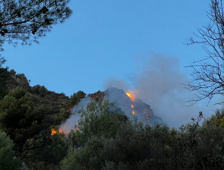 incendio serra