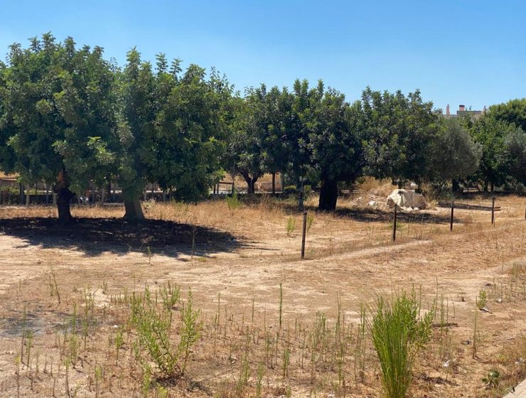 terrenos poscina la pobla