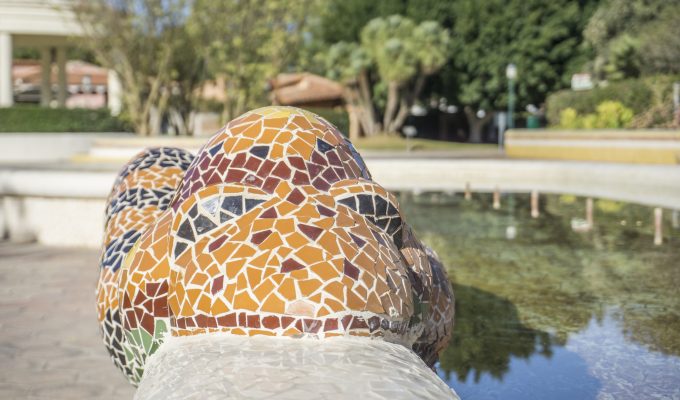 Sargantana Parque l'Eliana