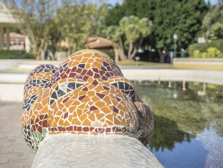 Sargantana Parque l'Eliana