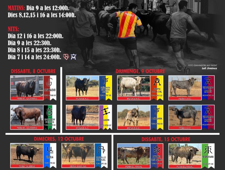 cartell bous 2022 Llíria