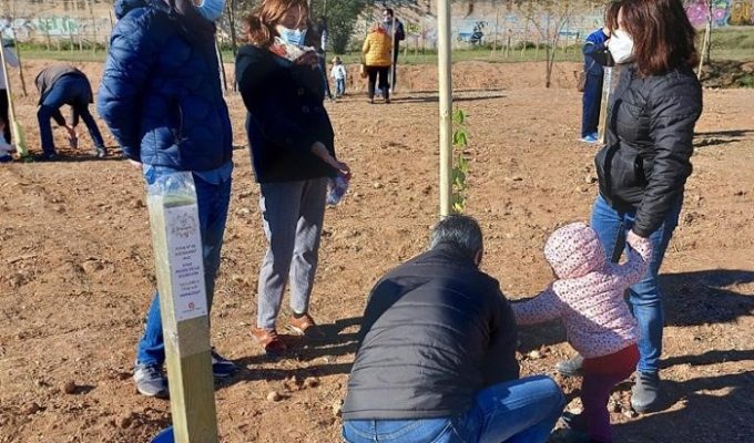 Bosque Bienvenida 2021