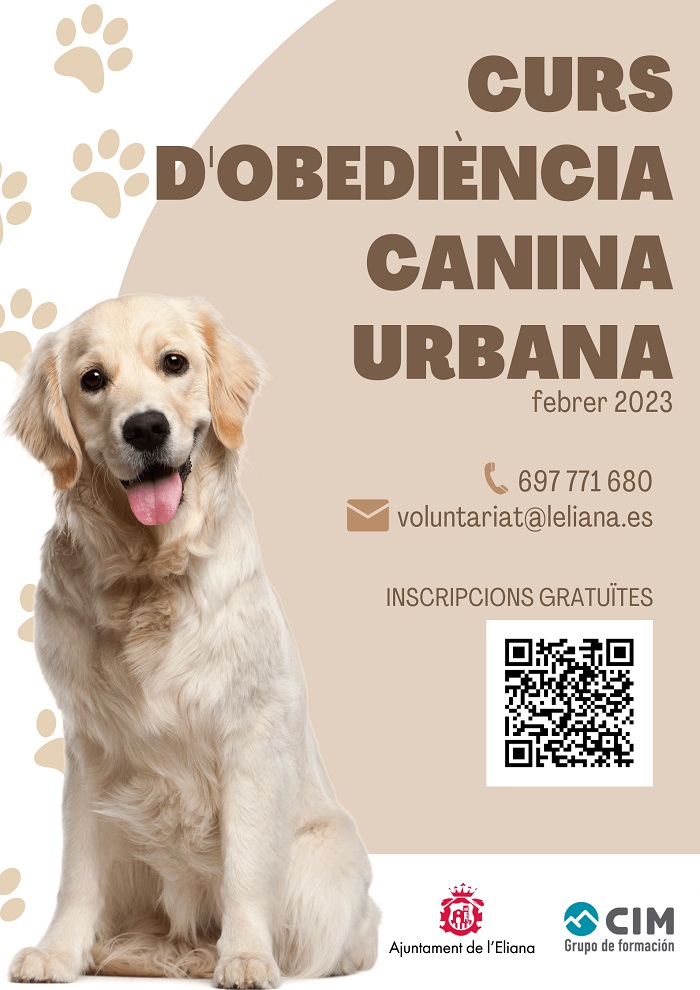 curso de obediencia canina