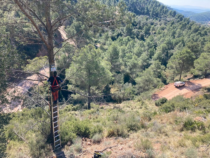 sensores incendios serra