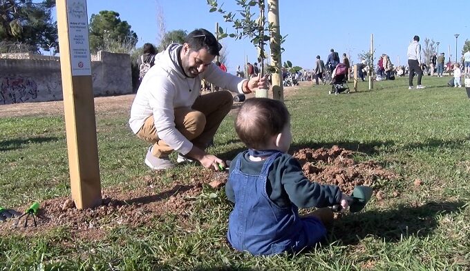 bosque de la bienvenida eliana