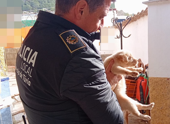 policia local perros