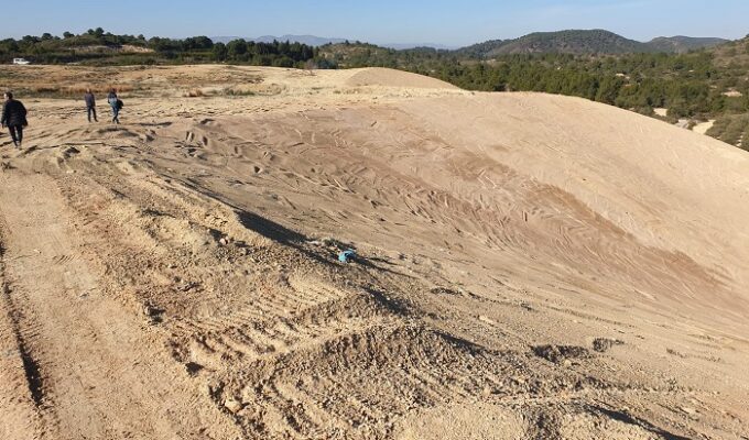 basseta blanca Riba-roja